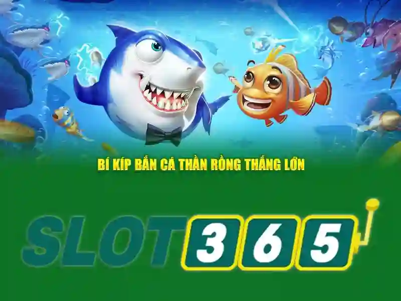 Hỗ trợ và dịch vụ khách hàng