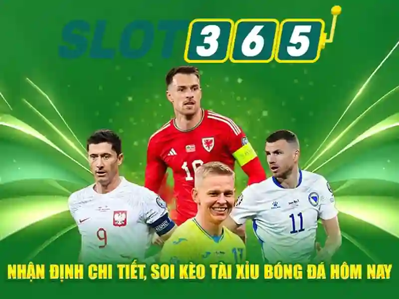 Giao diện nhà cái hoàn hảo