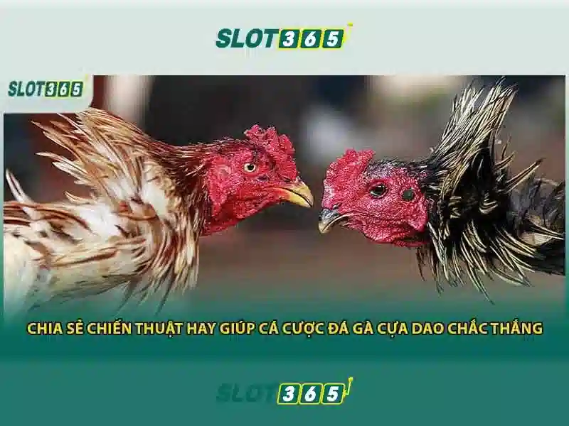 Danh mục trò chơi slot đa dạng