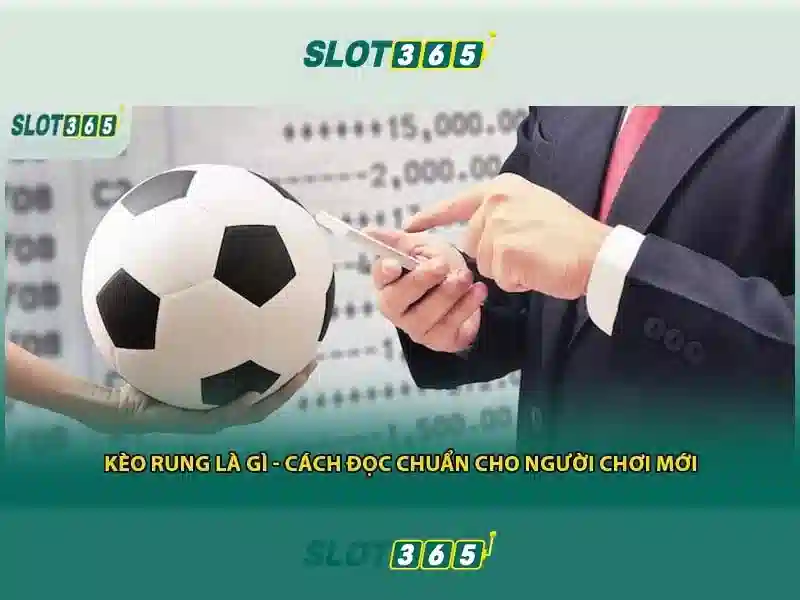 Trải nghiệm người dùng