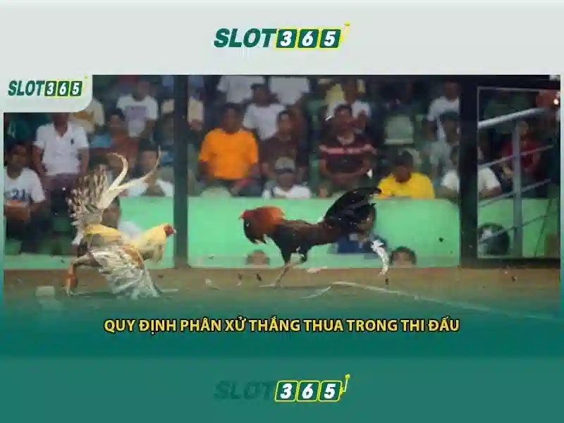 slot365-landing