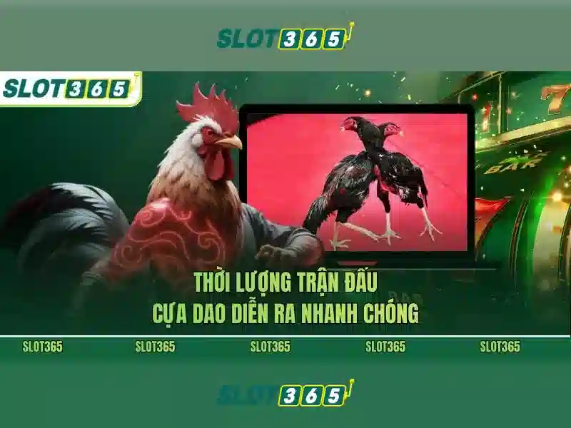 Kho game slot đa dạng và chất lượng