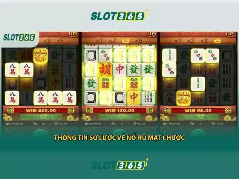 Slot365: Nền tảng trò chơi xèng trực tuyến