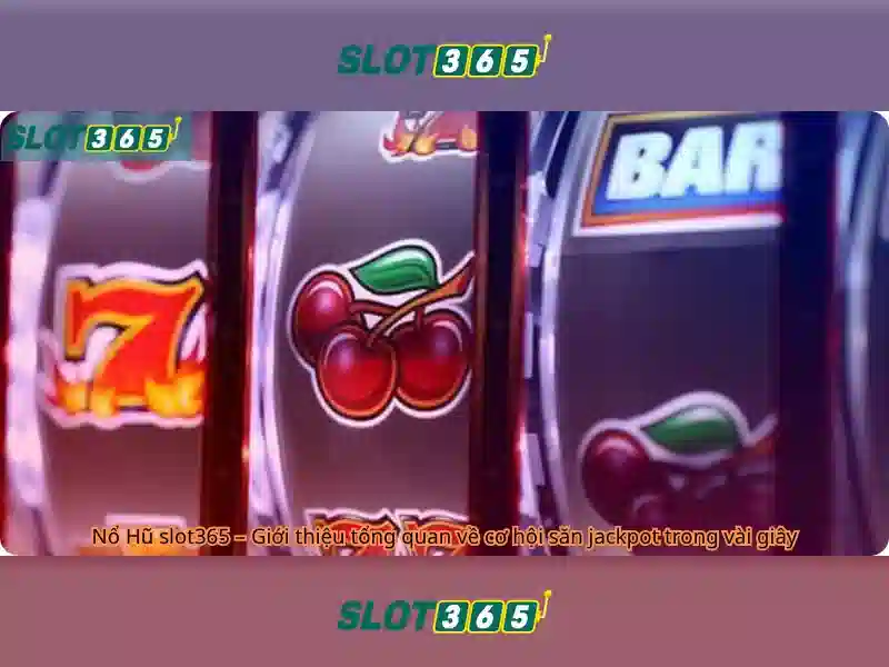 Slot365: Khai phá nền tảng slot trực tuyến uy tín