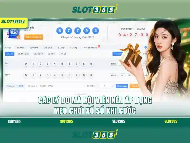 Nền tảng Slot365 và an toàn người chơi
