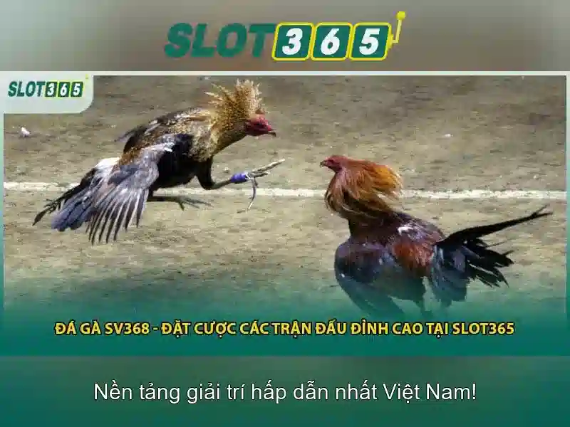 Giao diện nhà cái hoàn hảo