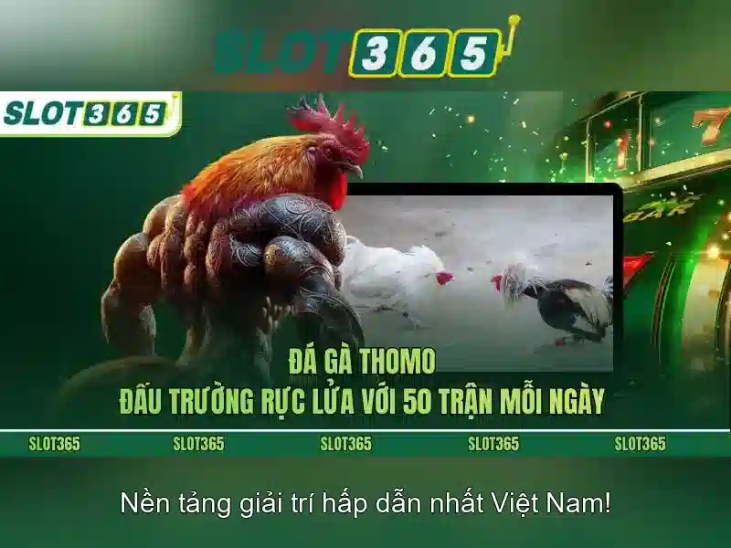 Khuyến mãi và chương trình thưởng hấp dẫn