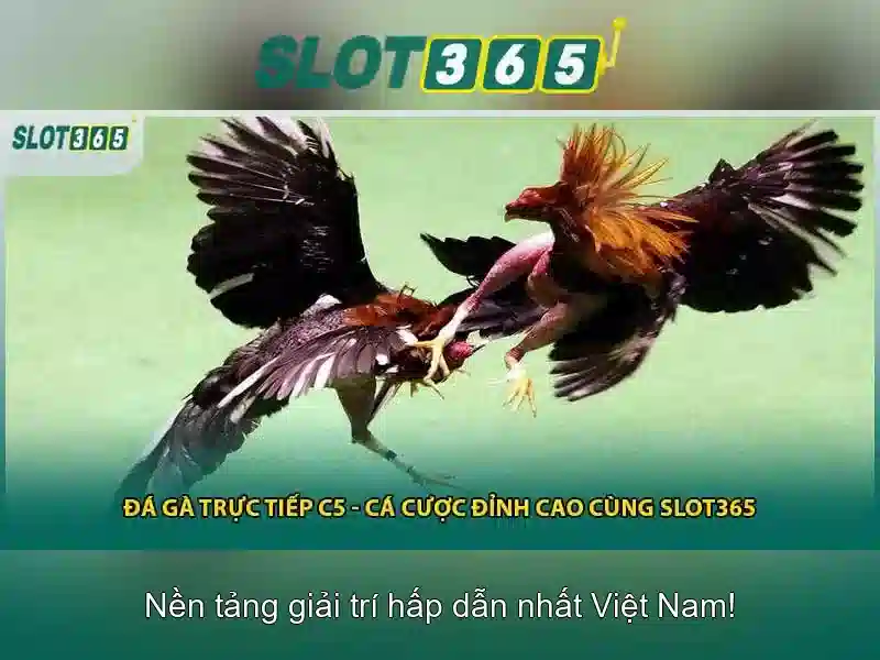 Khuyến mãi và ưu đãi
