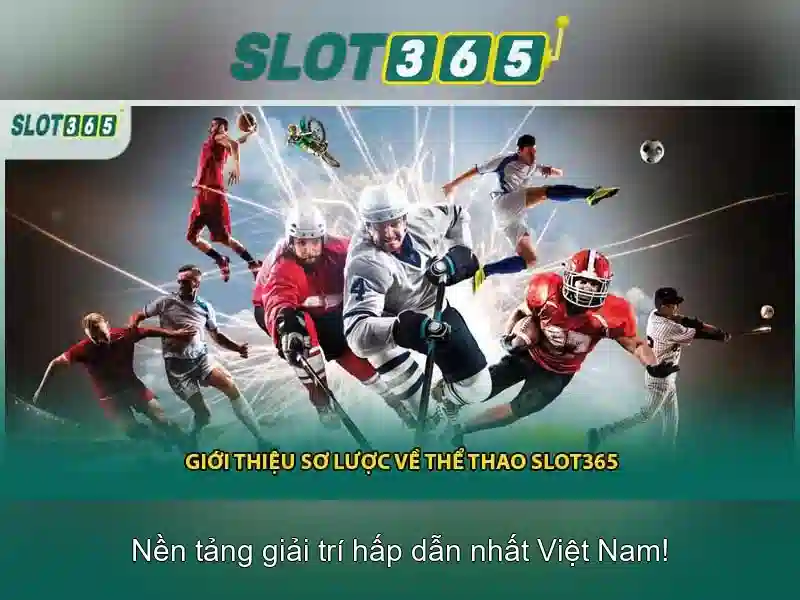 Chương trình khuyến mãi và thưởng