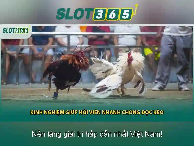 Slot365 - Nền tảng trò chơi khe trực tuyến đáng tin cậy Giao diện nhà cái hoàn hảo