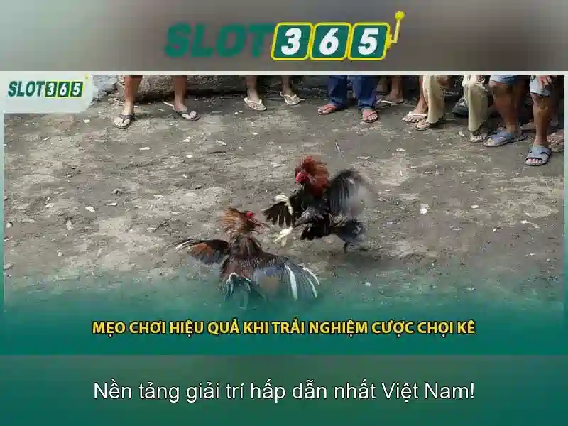 Cung cấp trò chơi đa dạng