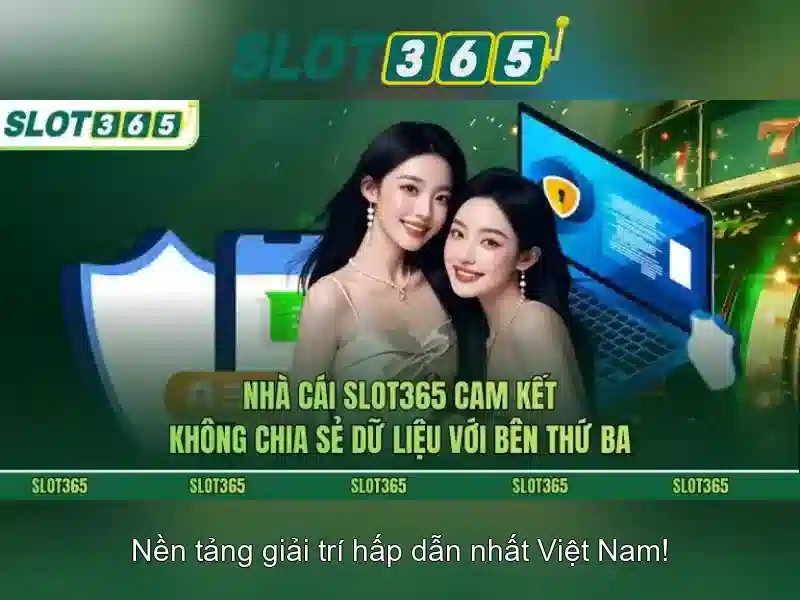 Trải nghiệm người dùng và giao diện