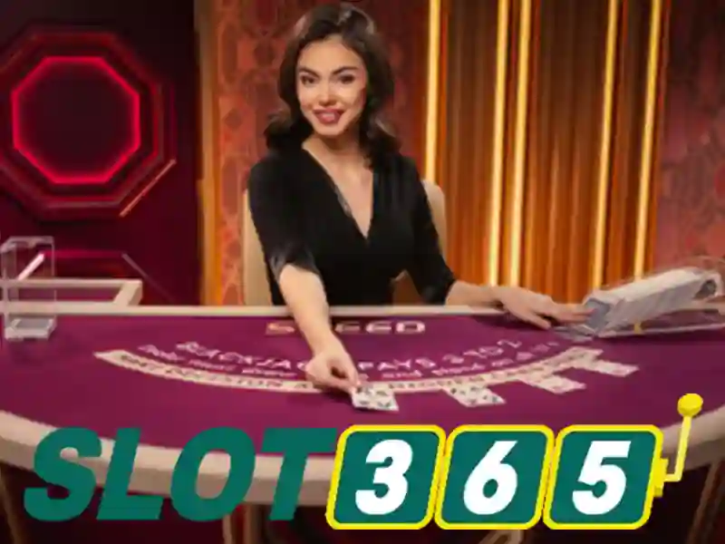 slot365_intro