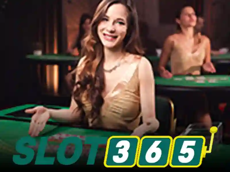 Slot365: Nền tảng trò chơi máy đánh bạc trực tuyến hàng đầu Giao diện nhà cái hoàn hảo
