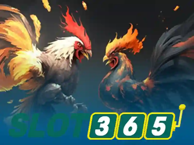 Giao diện nhà cái hoàn hảo